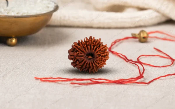 Natural 18 Mukhi Rudraksha (Nepali)